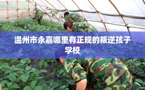 温州市永嘉哪里有正规的叛逆孩子学校