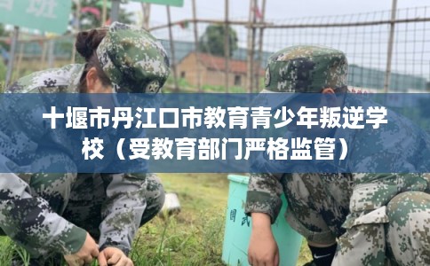 十堰市丹江口市教育青少年叛逆学校（受教育部门严格监管）