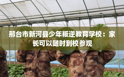 邢台市新河县少年叛逆教育学校：家长可以随时到校参观