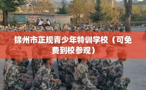 锦州市正规青少年特训学校（可免费到校参观）