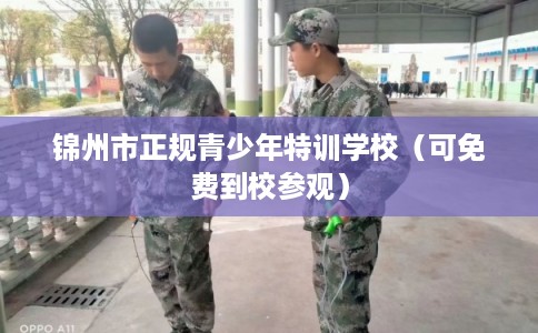 锦州市正规青少年特训学校（可免费到校参观）