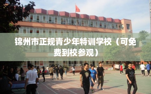锦州市正规青少年特训学校（可免费到校参观）