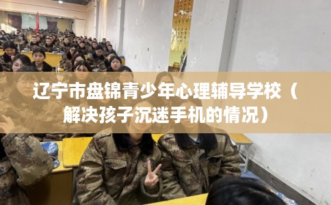 辽宁市盘锦青少年心理辅导学校（解决孩子沉迷手机的情况）