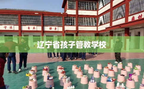 辽宁省孩子管教学校
