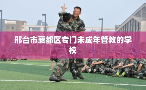 邢台市襄都区专门未成年管教的学校