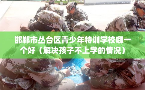 邯郸市丛台区青少年特训学校哪一个好（解决孩子不上学的情况）