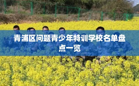 青浦区问题青少年特训学校名单盘点一览