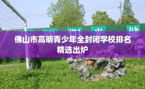 佛山市高明青少年全封闭学校排名精选出炉