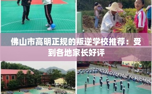 佛山市高明正规的叛逆学校推荐：受到各地家长好评