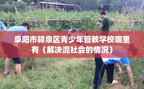 阜阳市颍泉区青少年管教学校哪里有（解决混社会的情况）
