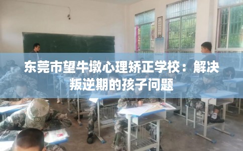 东莞市望牛墩心理矫正学校：解决叛逆期的孩子问题