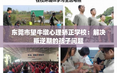 东莞市望牛墩心理矫正学校：解决叛逆期的孩子问题