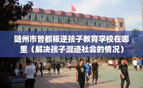 随州市曾都叛逆孩子教育学校在哪里（解决孩子混迹社会的情况）