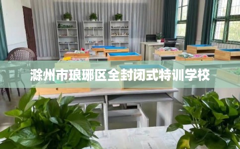 滁州市琅琊区全封闭式特训学校