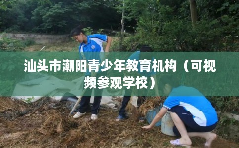 汕头市潮阳青少年教育机构（可视频参观学校）