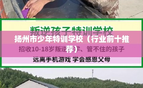扬州市少年特训学校（行业前十推荐）