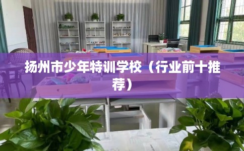 扬州市少年特训学校（行业前十推荐）