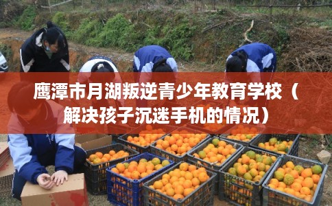 鹰潭市月湖叛逆青少年教育学校（解决孩子沉迷手机的情况）