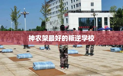 神农架最好的叛逆学校