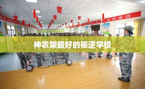 神农架最好的叛逆学校