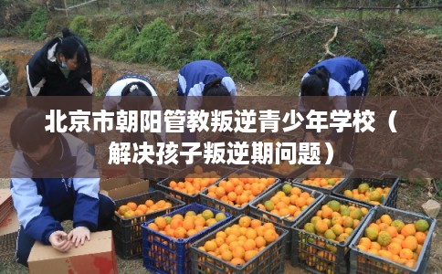 北京市朝阳管教叛逆青少年学校（解决孩子叛逆期问题）