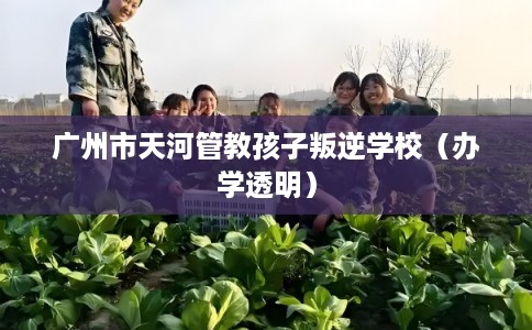 广州市天河管教孩子叛逆学校（办学透明）