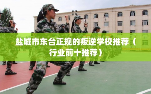 盐城市东台正规的叛逆学校推荐（行业前十推荐）
