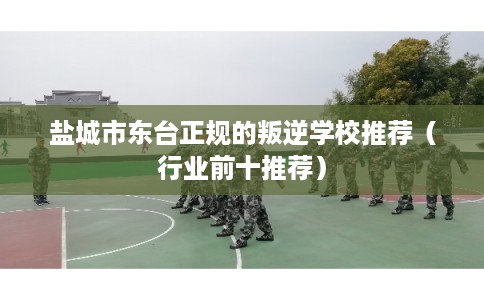 盐城市东台正规的叛逆学校推荐（行业前十推荐）