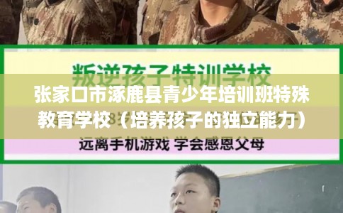 张家口市涿鹿县青少年培训班特殊教育学校（培养孩子的独立能力）