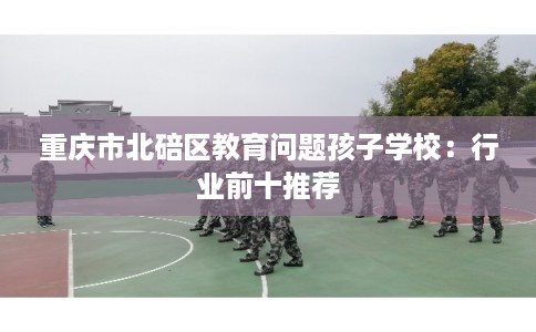 重庆市北碚区教育问题孩子学校：行业前十推荐
