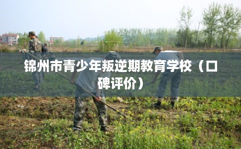 锦州市青少年叛逆期教育学校（口碑评价）