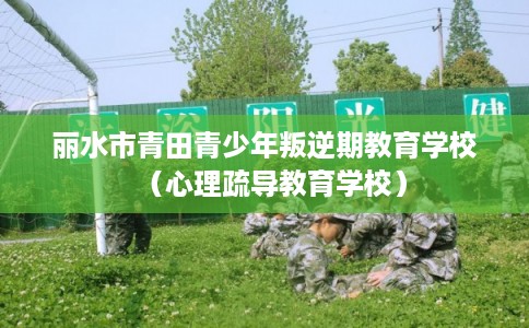 丽水市青田青少年叛逆期教育学校（心理疏导教育学校）