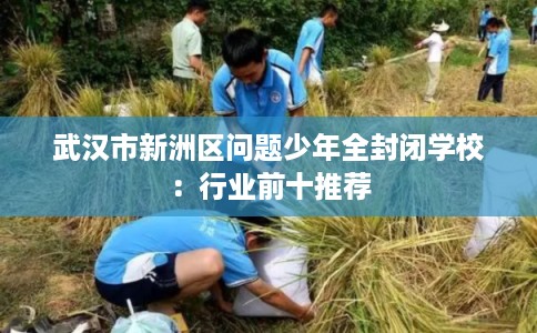 武汉市新洲区问题少年全封闭学校：行业前十推荐