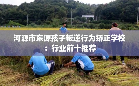 河源市东源孩子叛逆行为矫正学校：行业前十推荐