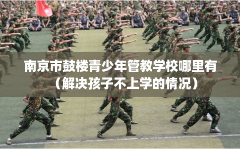 南京市鼓楼青少年管教学校哪里有（解决孩子不上学的情况）