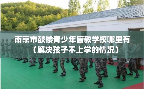 南京市鼓楼青少年管教学校哪里有（解决孩子不上学的情况）