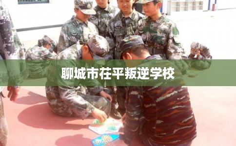 聊城市茌平叛逆学校