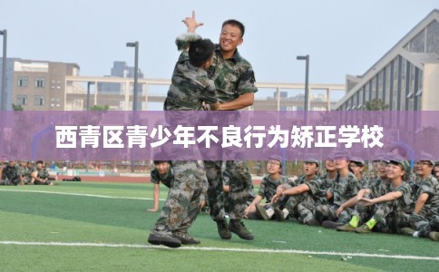 西青区青少年不良行为矫正学校