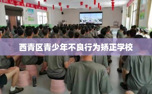 西青区青少年不良行为矫正学校