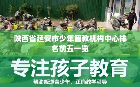 陕西省延安市少年管教机构中心排名前五一览