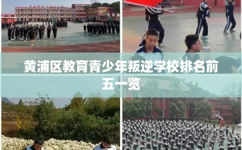 黄浦区教育青少年叛逆学校排名前五一览