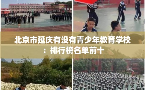 北京市延庆有没有青少年教育学校：排行榜名单前十
