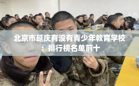 北京市延庆有没有青少年教育学校：排行榜名单前十
