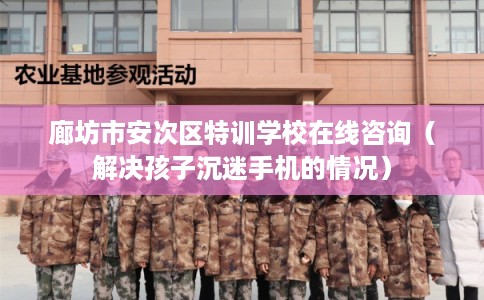 廊坊市安次区特训学校在线咨询（解决孩子沉迷手机的情况）
