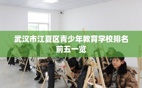 武汉市江夏区青少年教育学校排名前五一览