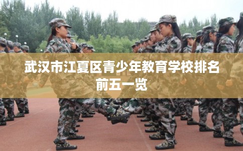 武汉市江夏区青少年教育学校排名前五一览