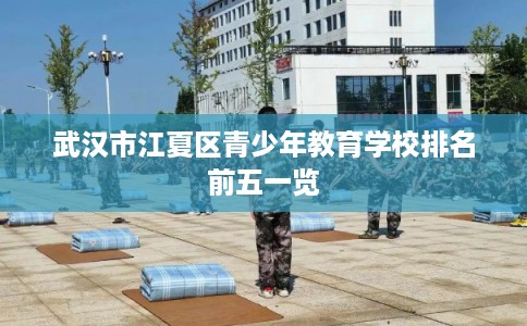 武汉市江夏区青少年教育学校排名前五一览