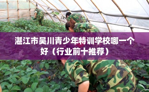 湛江市吴川青少年特训学校哪一个好（行业前十推荐）