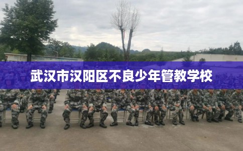 武汉市汉阳区不良少年管教学校