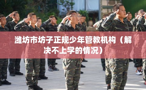 潍坊市坊子正规少年管教机构（解决不上学的情况）